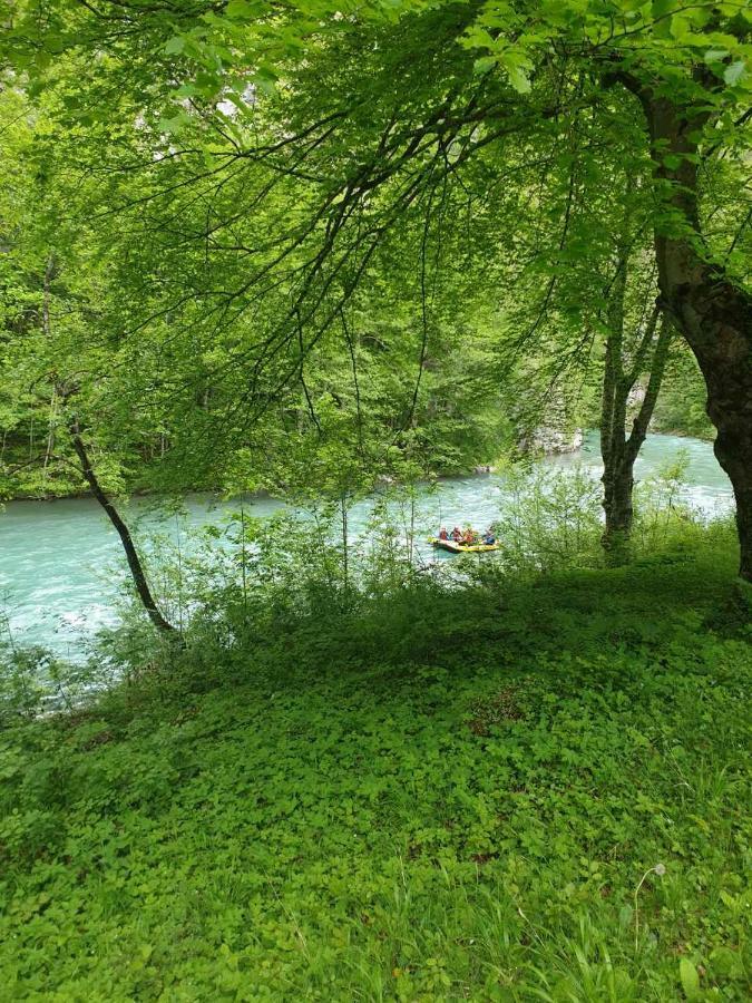 Apartmani Cetkovic Žabljak Kültér fotó